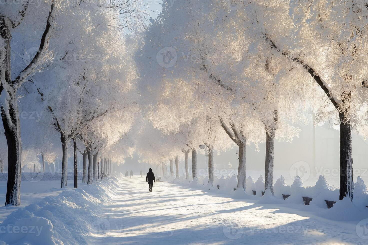 Man walking in a snowy park during a beautiful winter morning photo