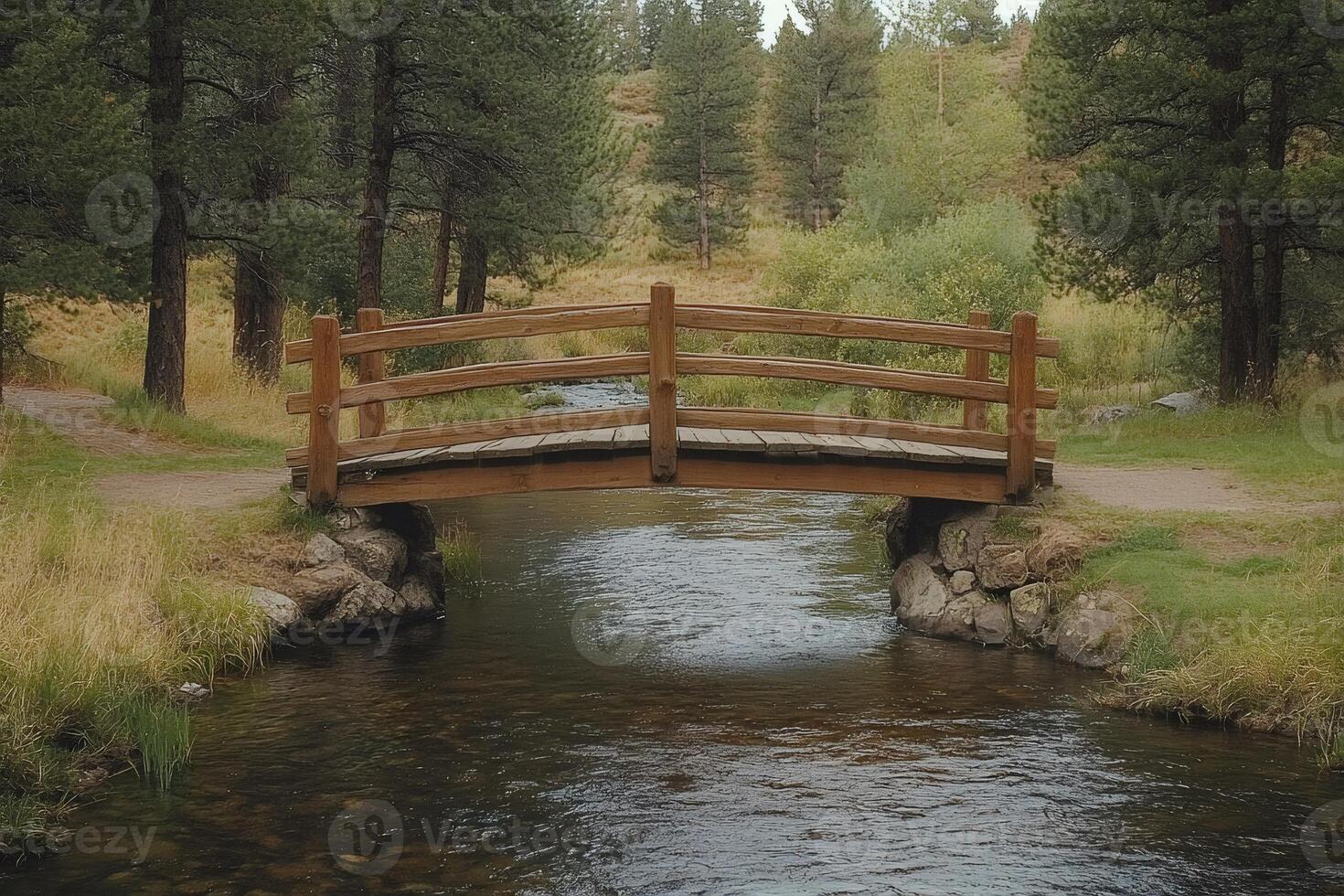 Wooden bridge crossing a peaceful stream in a forest photo
