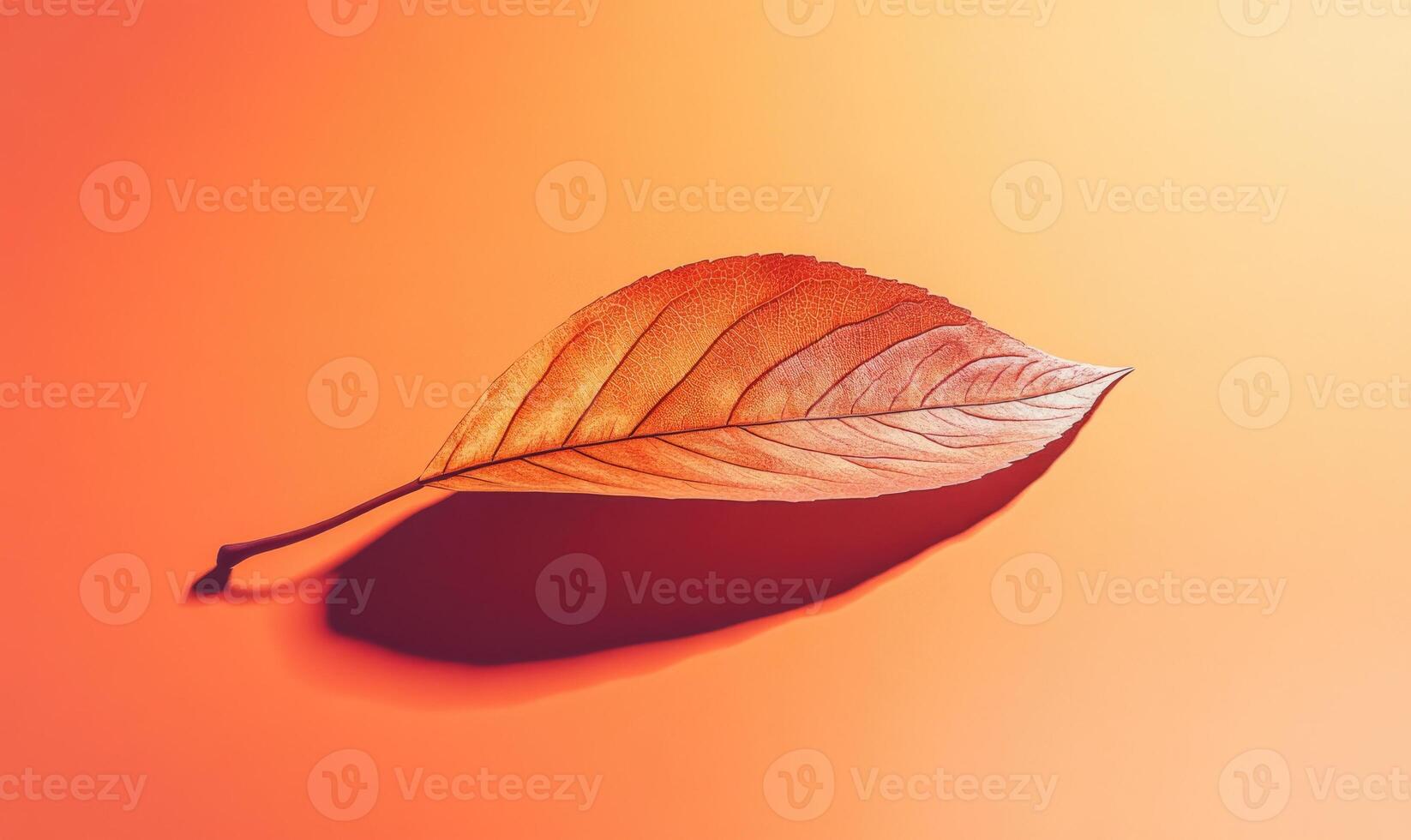 A leaf is laying on a red surface photo