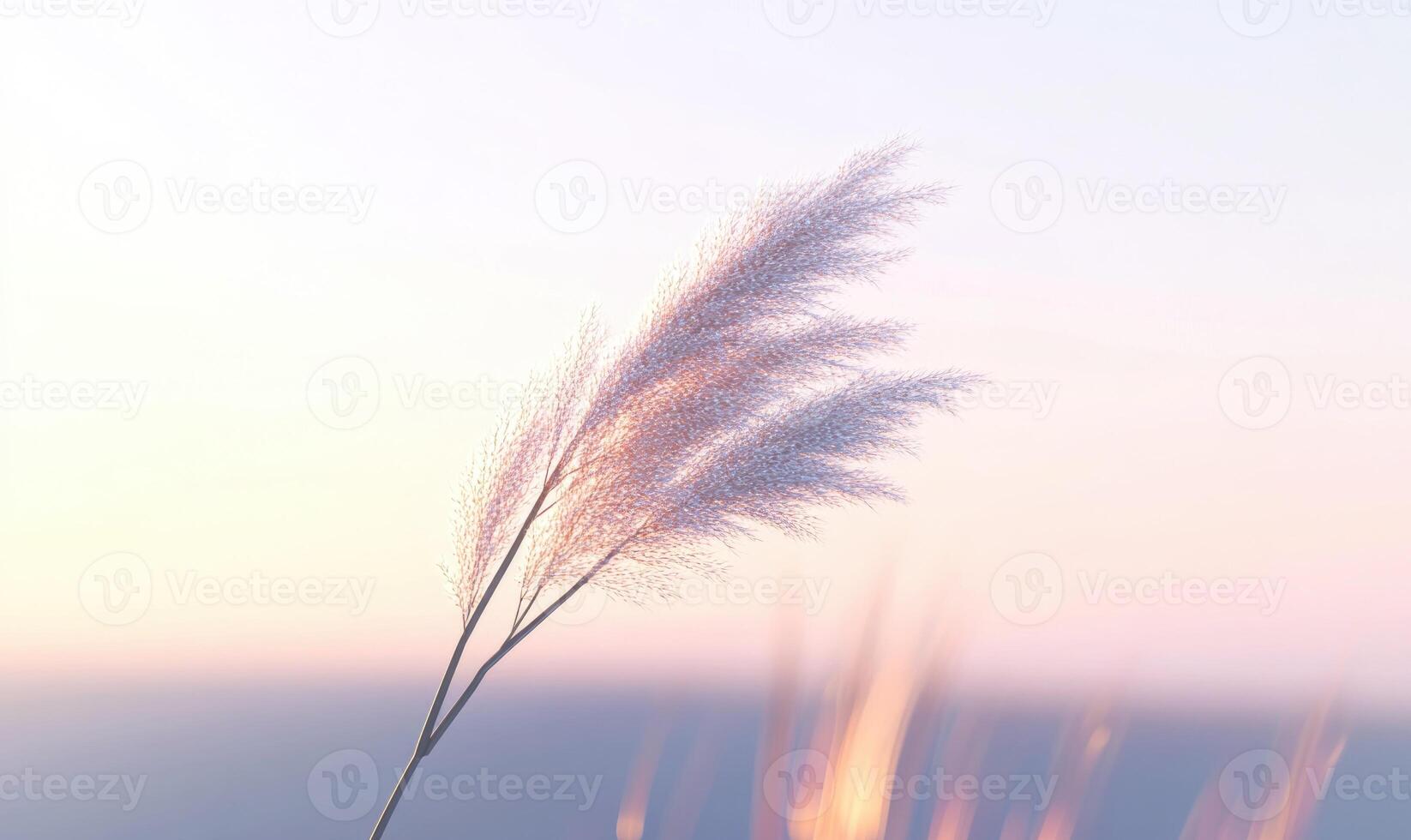 A single stalk of grass is in the foreground of a blue sky photo