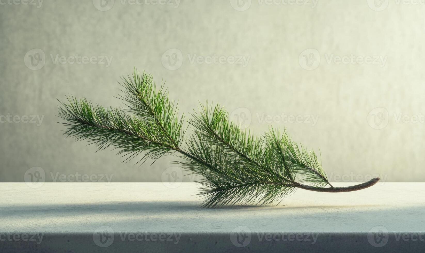 A pine tree branch is laying on a table photo