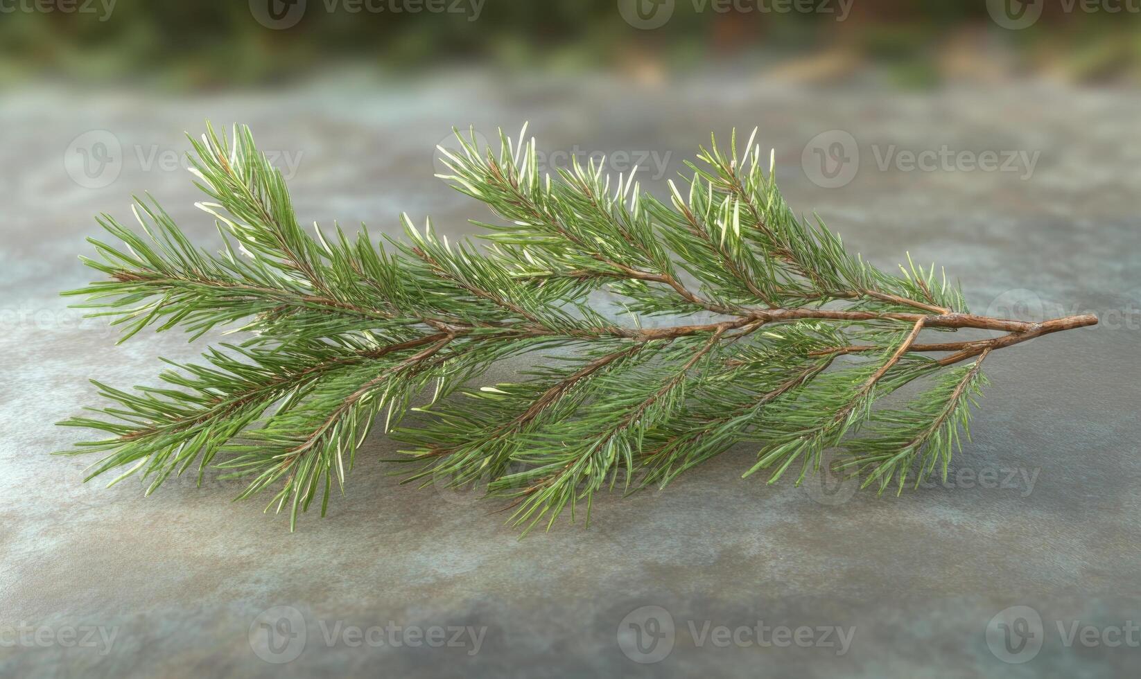 A green leafy branch of a tree photo