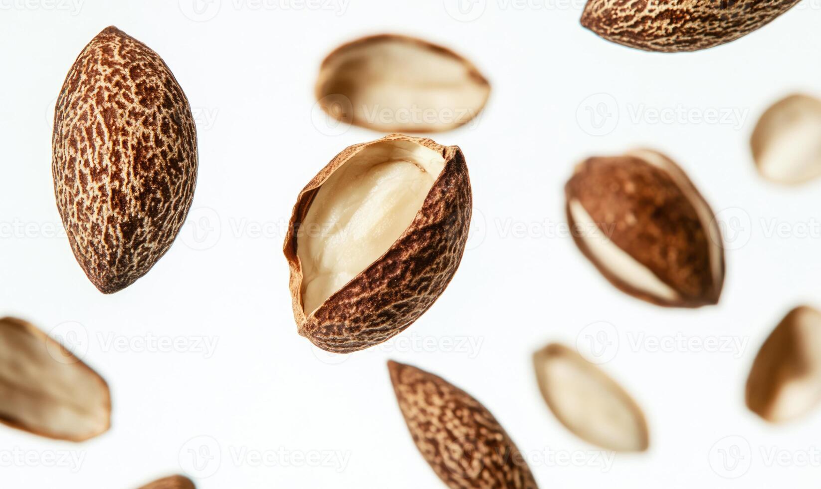 A close up of nuts with the shell removed photo