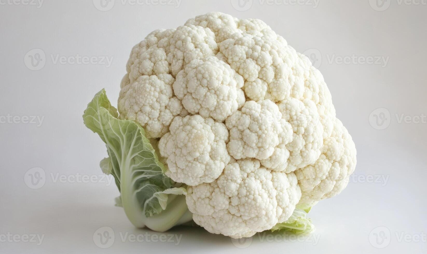 a large head of cauliflower on a white background photo