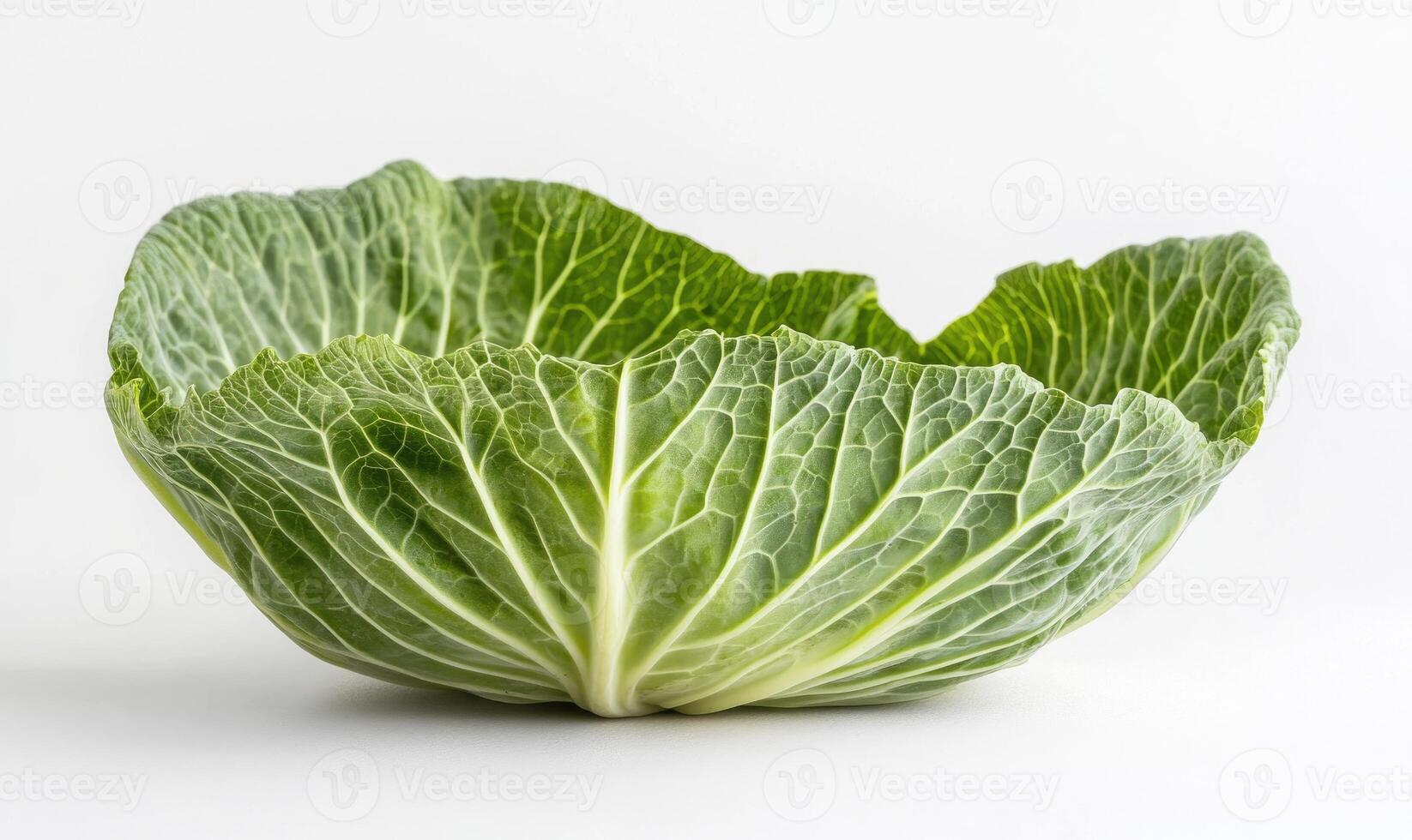 a large cabbage is shown in a bowl photo