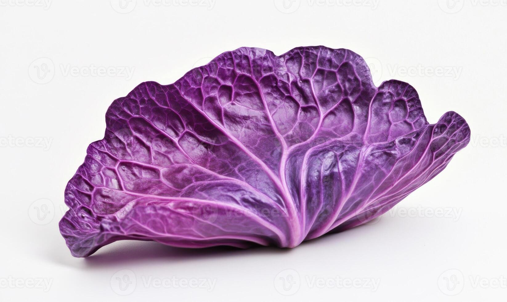 a purple cabbage is shown on a white surface photo