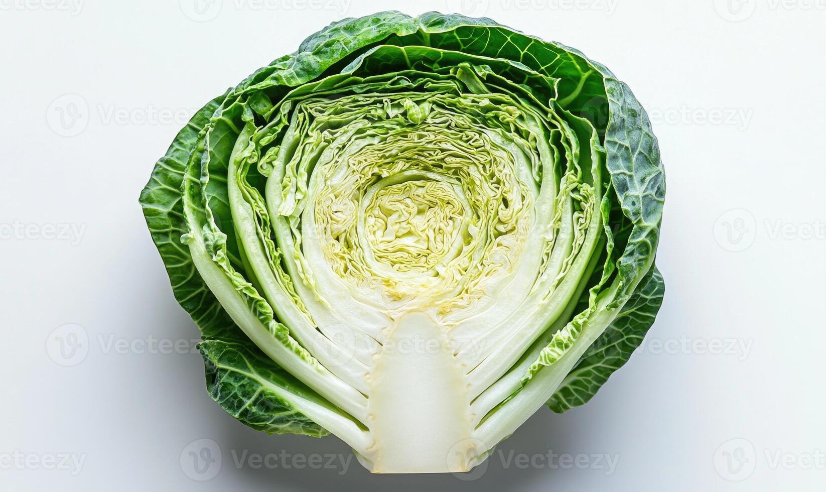 A head of lettuce with the stem removed photo