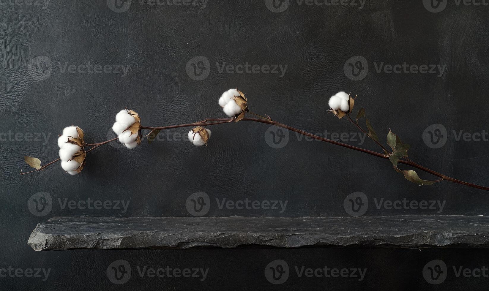 A bouquet of white cotton flowers on a shelf photo