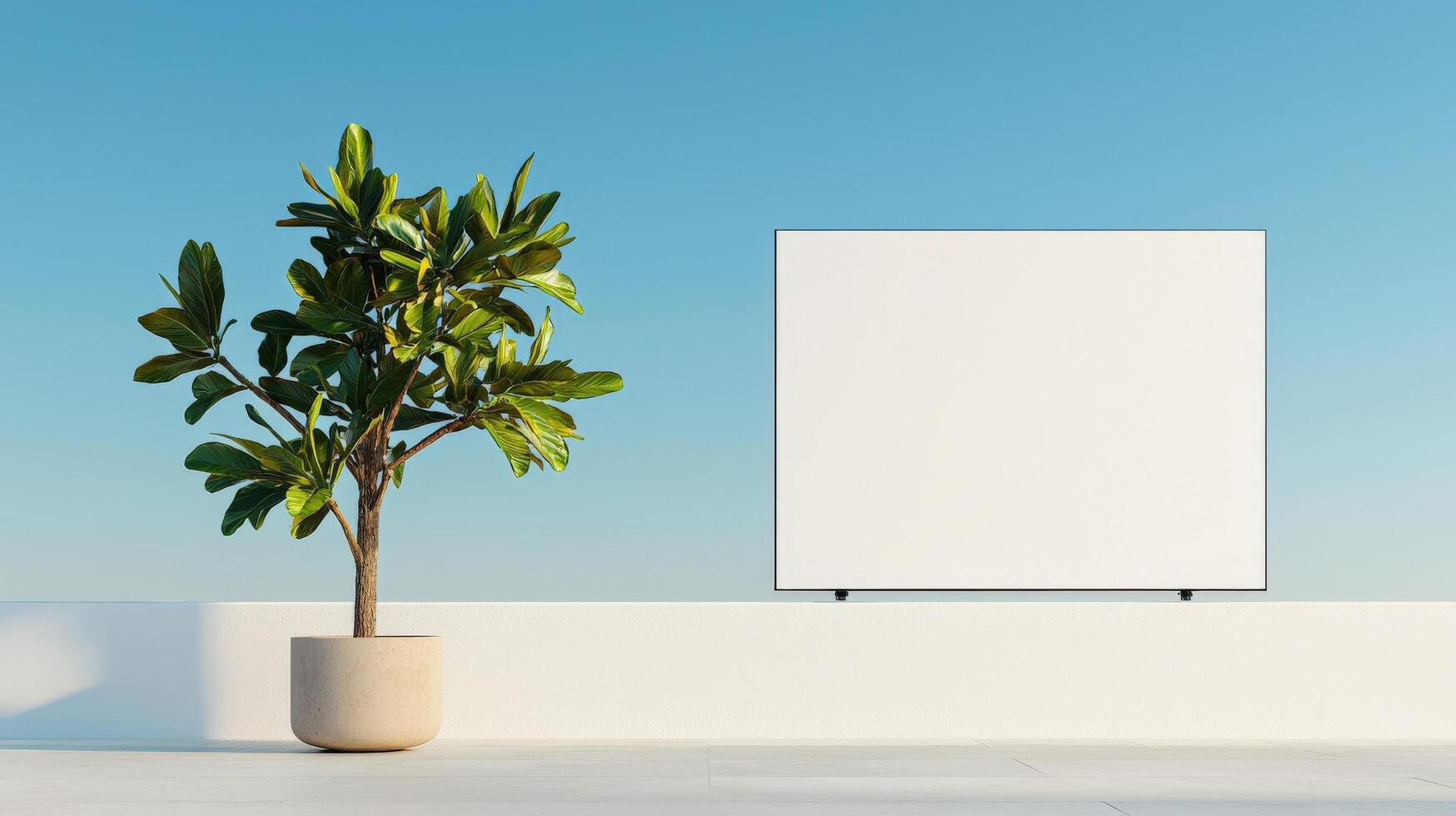 A white sign is on a wall next to a potted plant photo