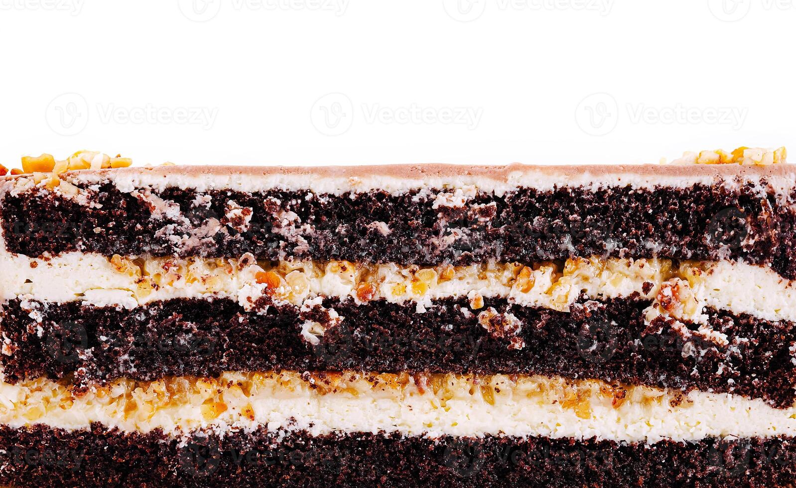 Delicious chocolate cake with layers of cream and nuts photo