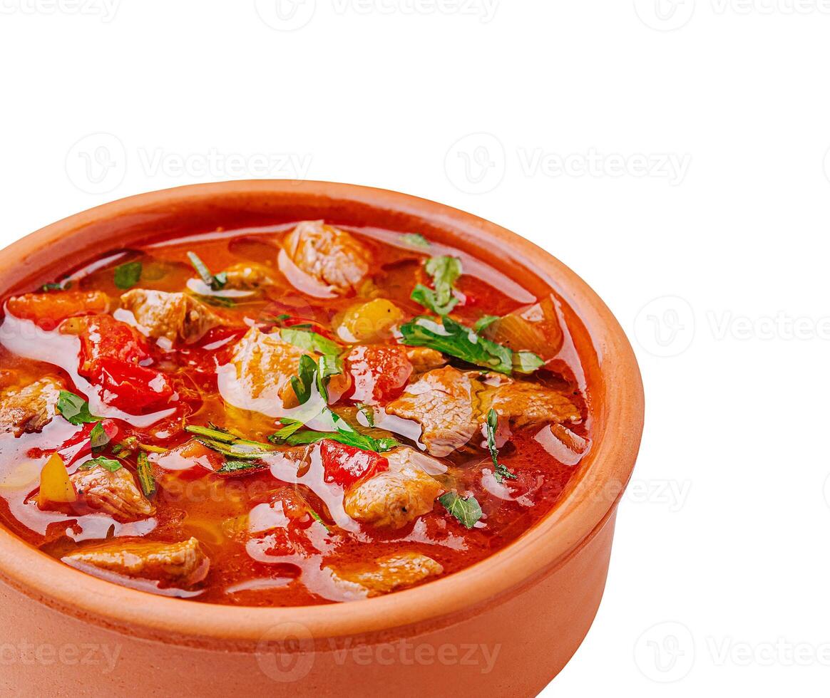 Hearty stew with meat and fresh vegetables served in clay pot photo