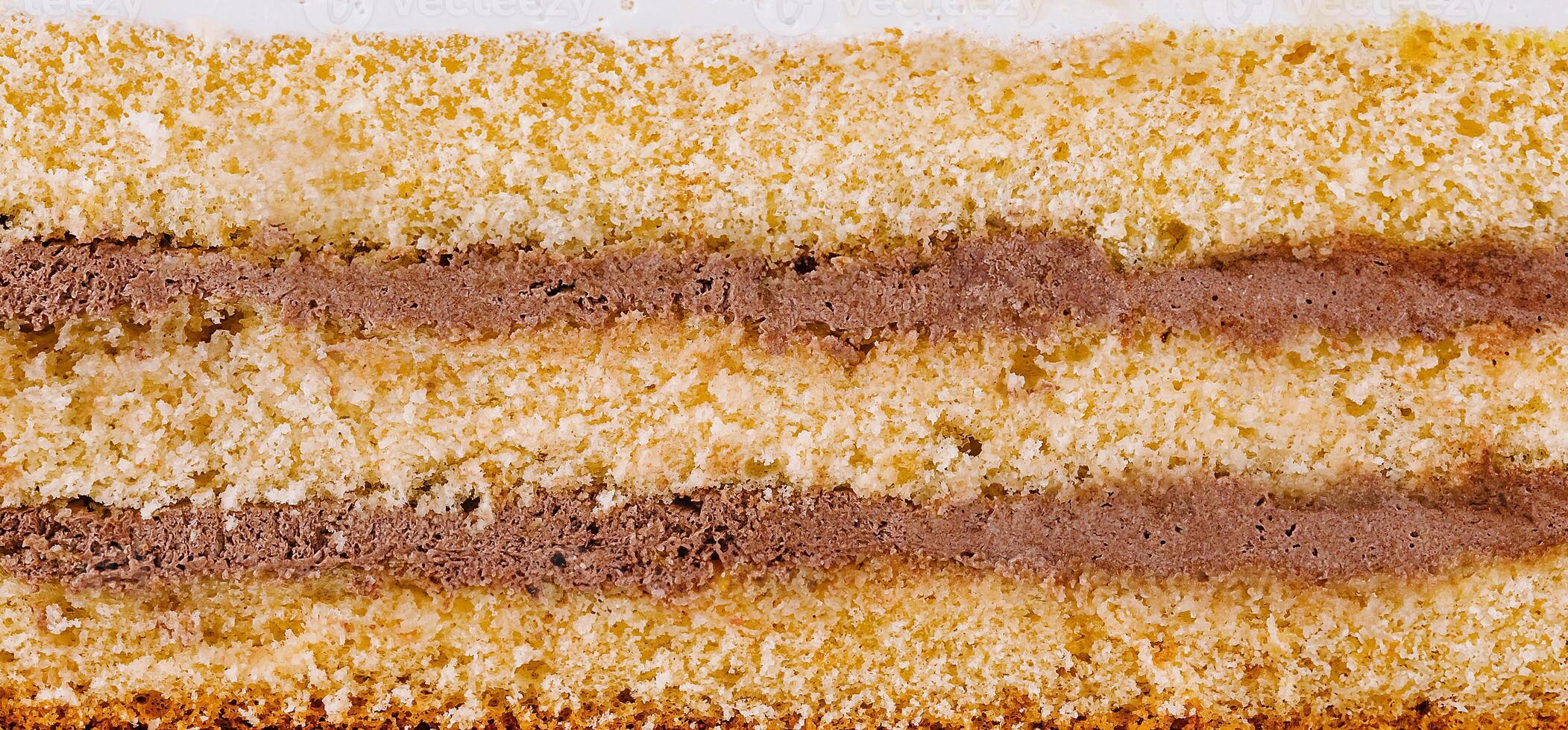 Delicious cake layers showing filling texture photo
