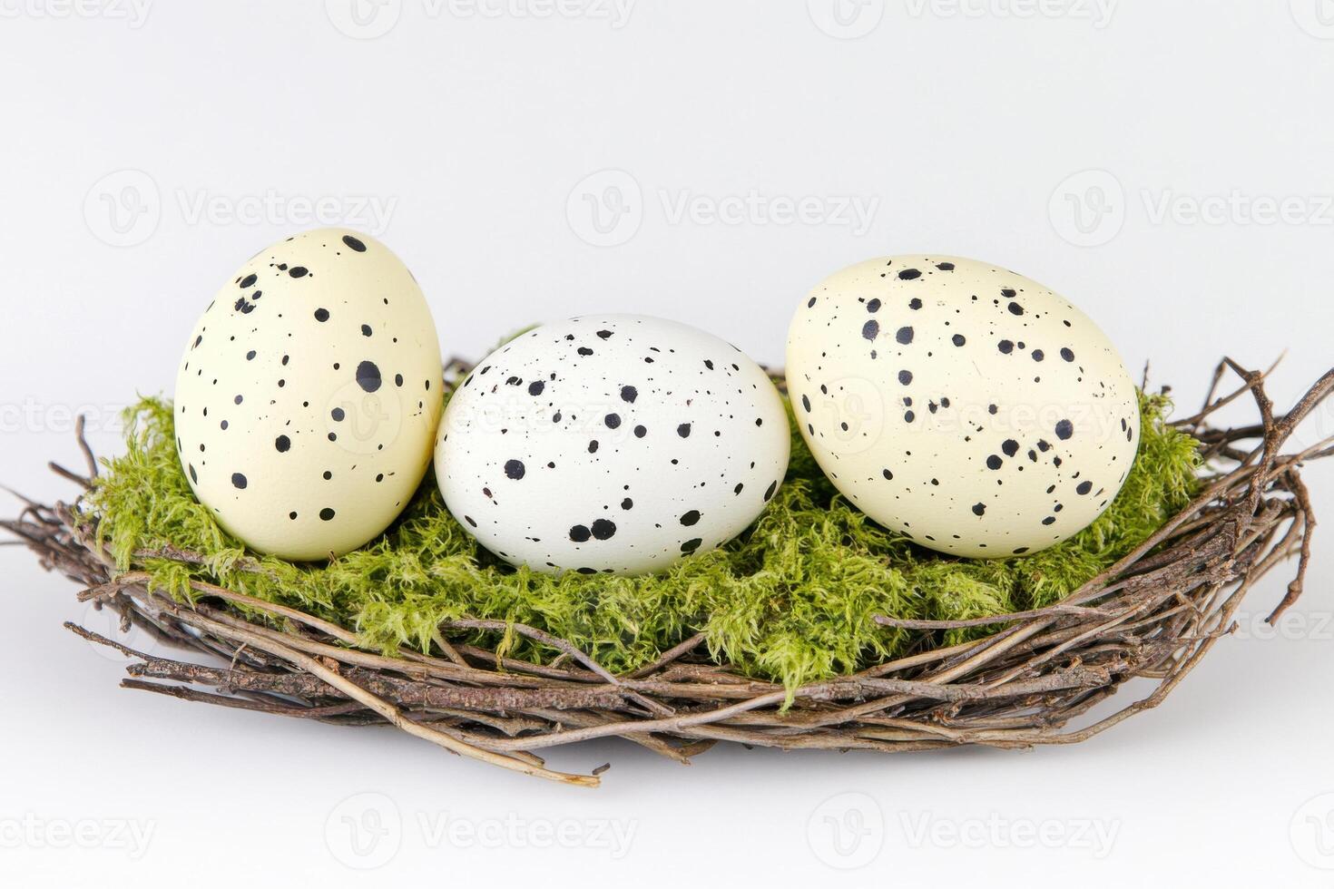 Rustic birds nest with speckled eggs made of twigs and moss on a natural tree branch in soft lighting photo
