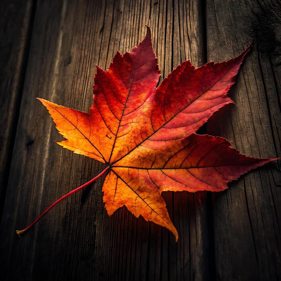 Vibrant Autumn Maple Leaf on Rustic Wooden Surface A Stunning Fall photo