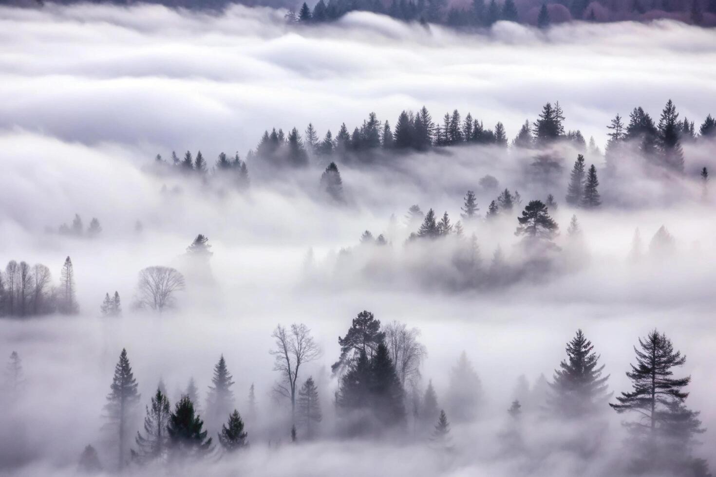 Misty Mountain Forest Landscape with Rolling Fog and Silhouetted Trees photo