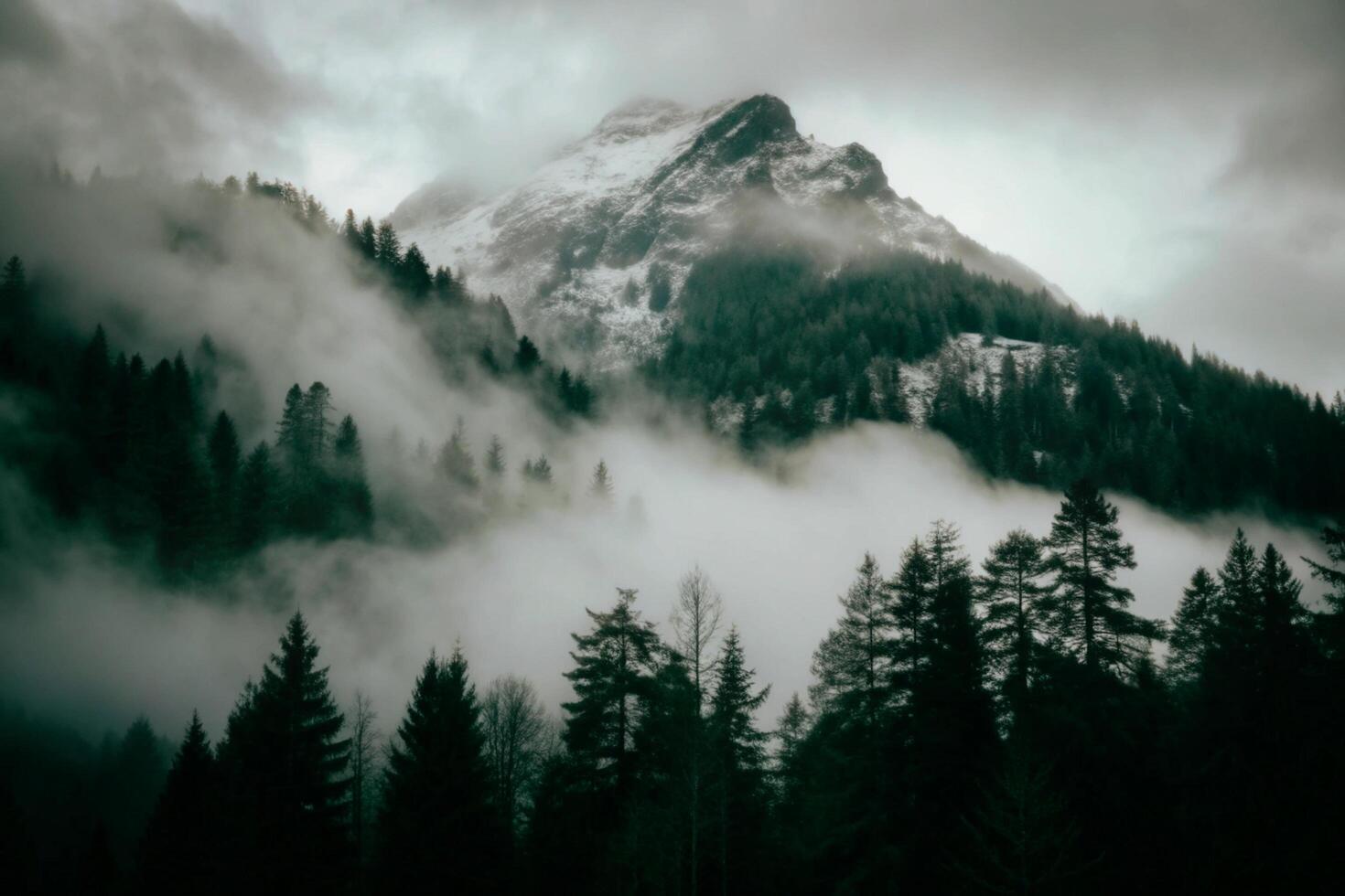 Misty Mountain Landscape with Evergreen Trees and Snow Covered Peak photo