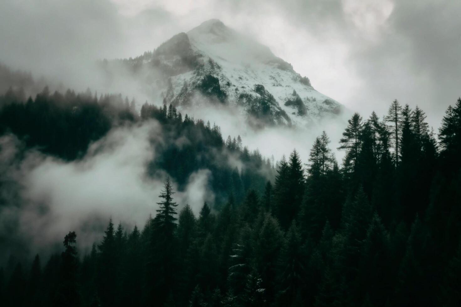 Misty Mountain Peak Enveloped in Foggy Clouds above a Dark Evergreen Forest photo