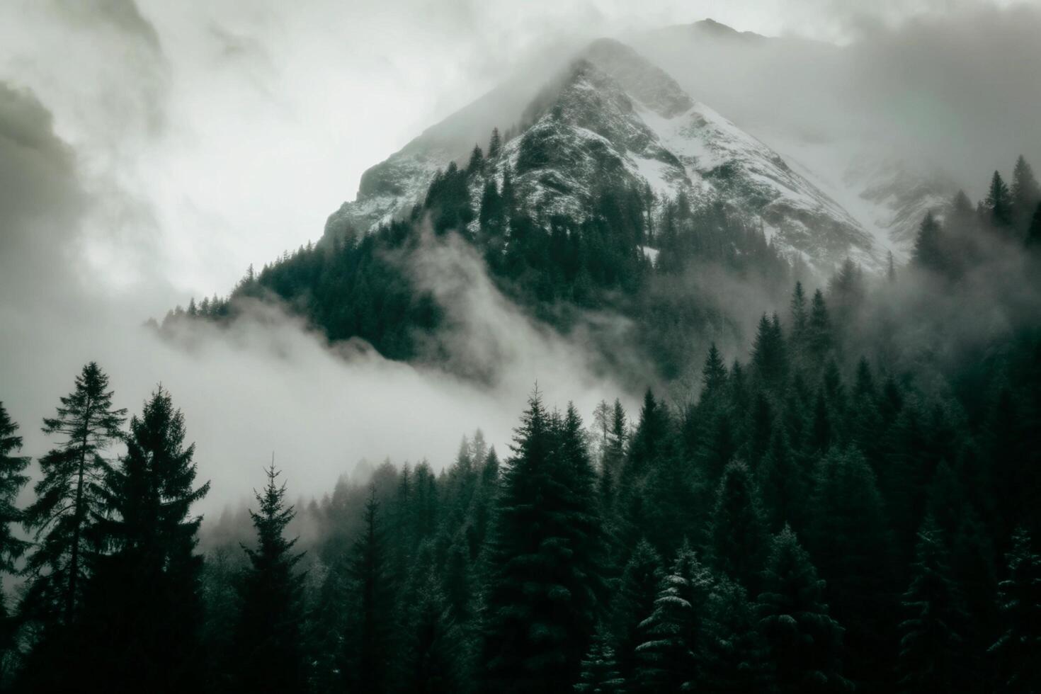 Misty Mountain Peak Surrounded by Evergreen Forest in a Cold Climate photo