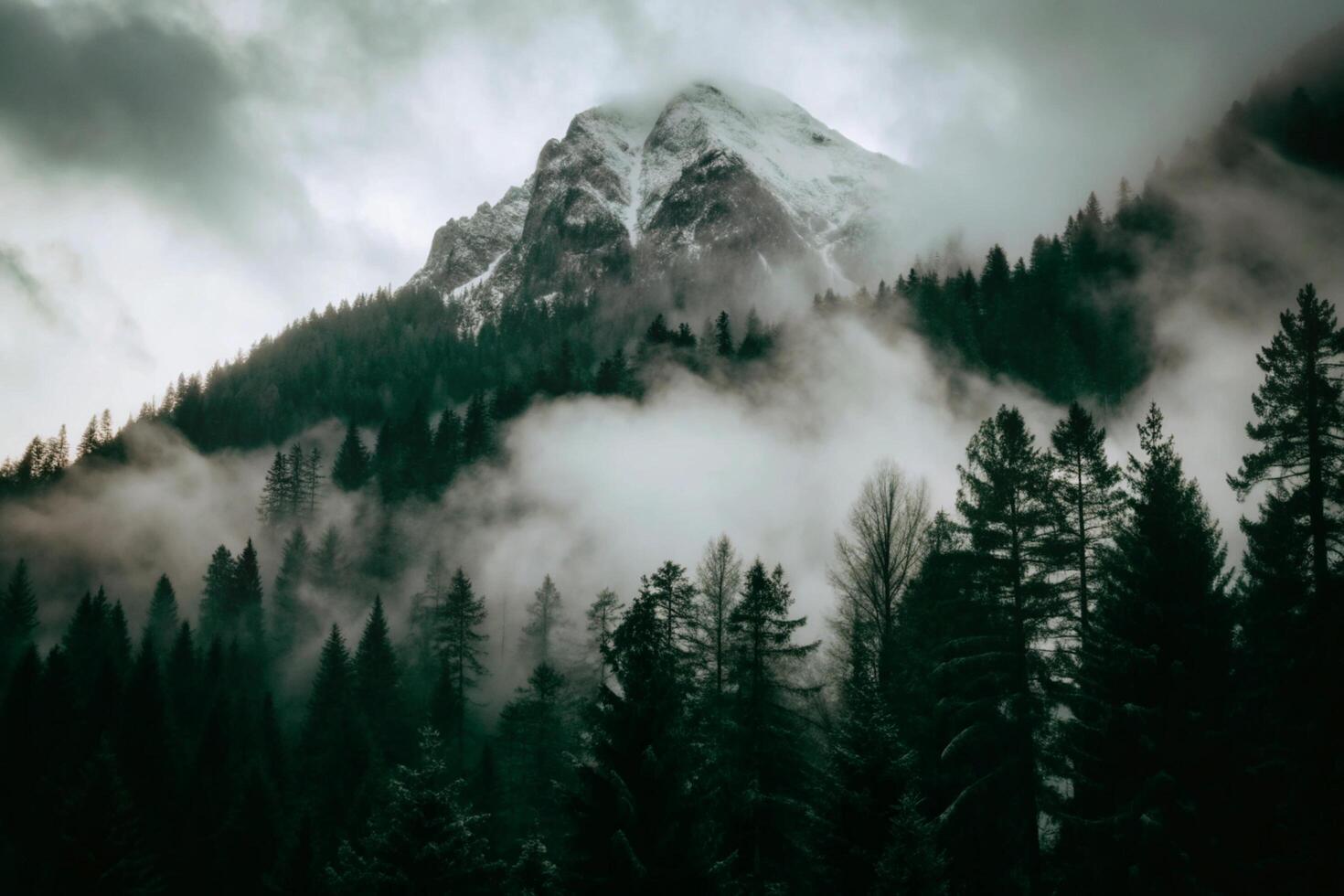 Majestic Mountain Peak Shrouded in Foggy Forest Landscape photo