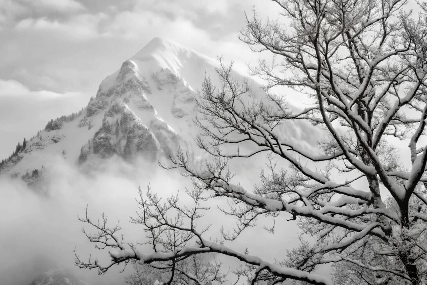 Majestic Winter Mountain Scene with Snow Covered Branches photo