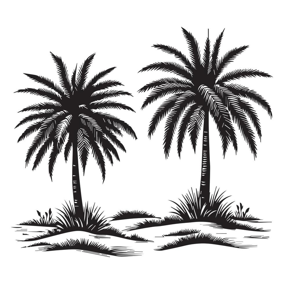 Vintage Palm Tree Line Art Illustration vector