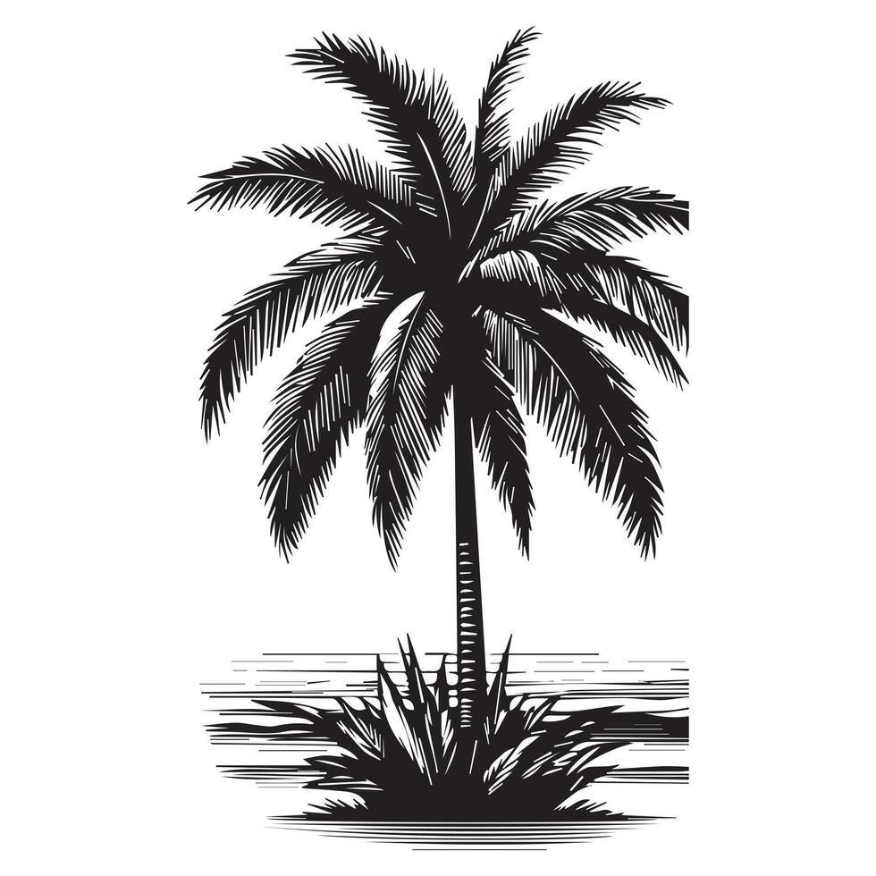 Hand-Sketched Palm Trees for Design Use vector