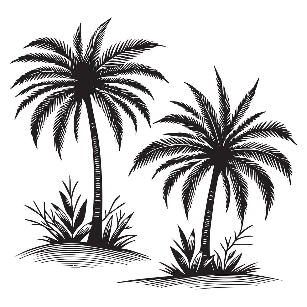 Minimalist Palm Tree Sketch vector