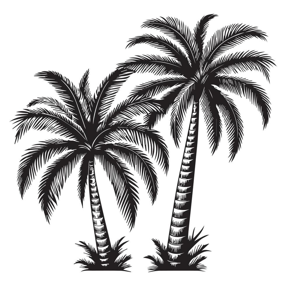 Two Palm Trees Vintage Illustration vector