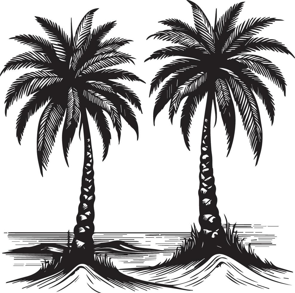 Old-Style Botanical Palm Tree Etching vector
