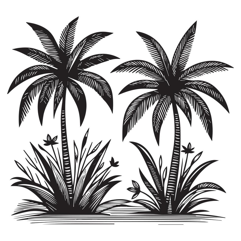 Palm Trees with Intricate Leaf Details vector