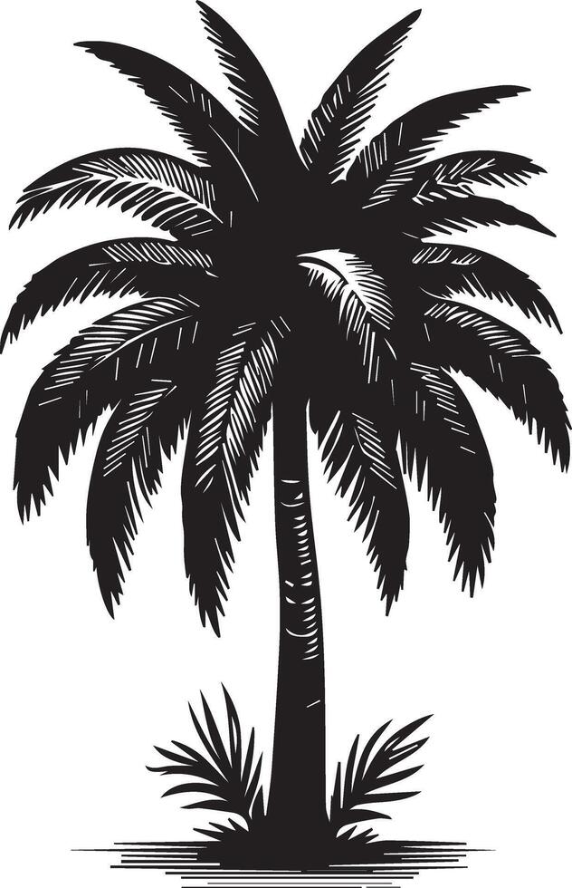 Elegant Palm Tree Botanical Illustration vector