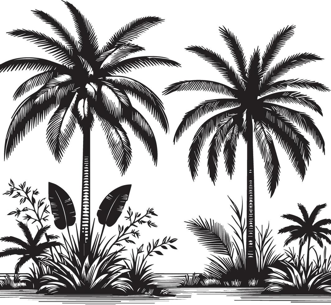 Classic Palm Tree Engraving Style vector
