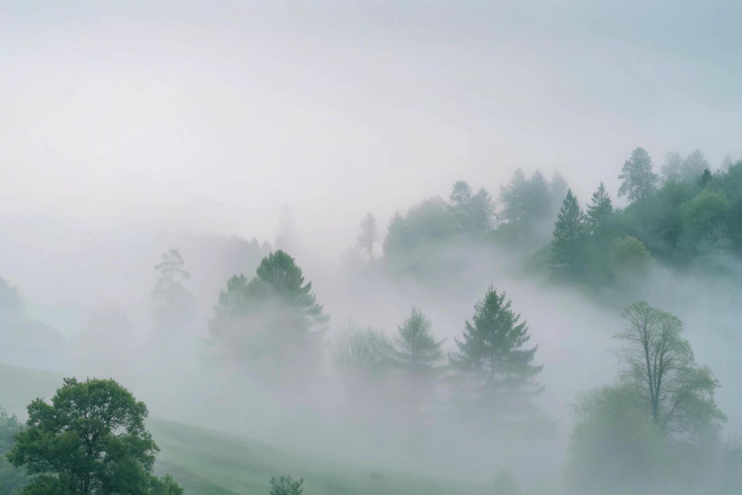 Misty Morning in a Green Forest Hills Landscape photo