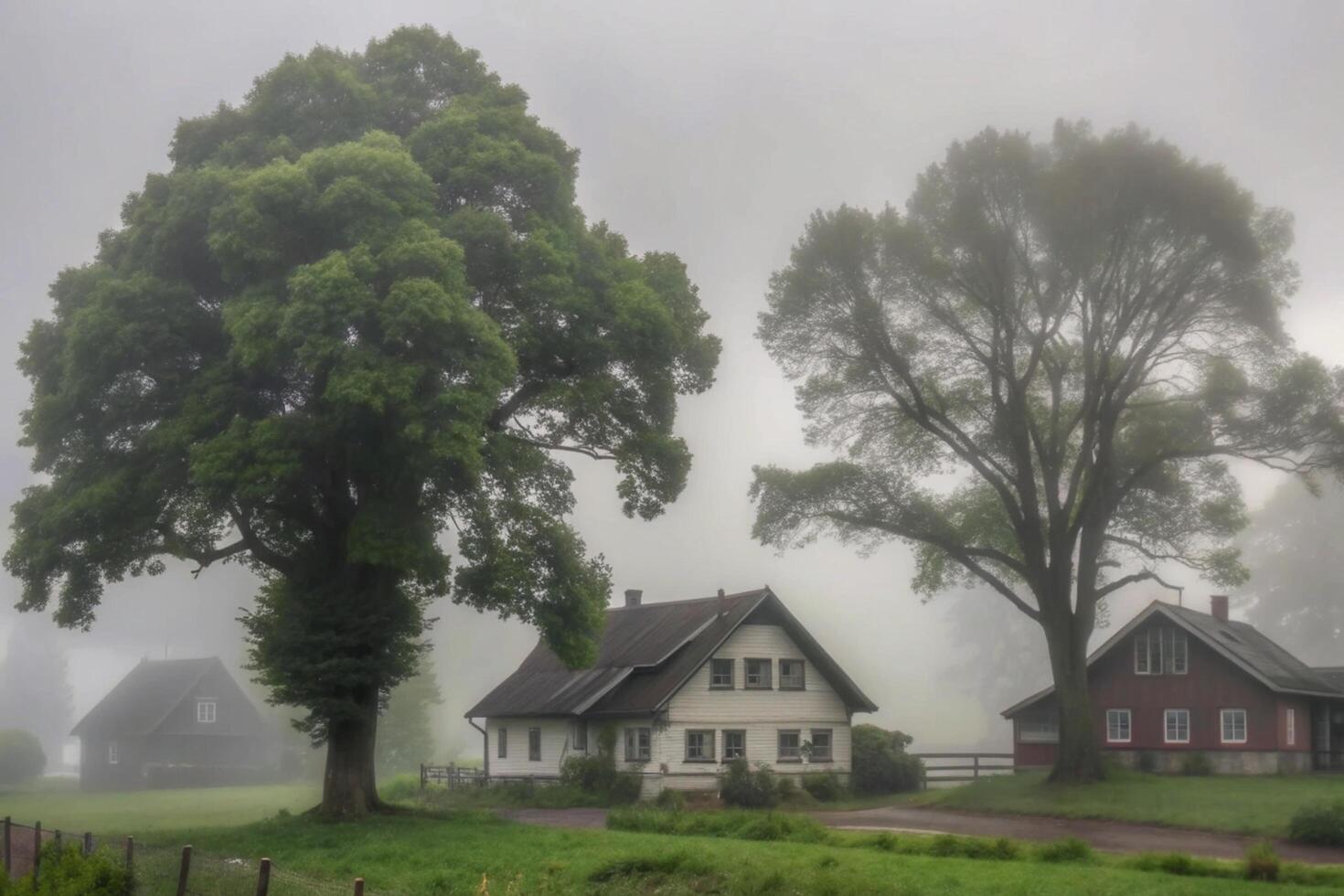 Misty Morning Farmhouse Scene with Large Trees and Foggy Landscape photo