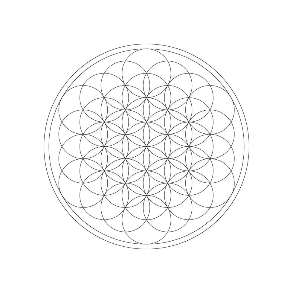 Flower of Life. Sacred Geometry. Black and white drawing with one line. Mandala for coloring. illustration isolated on white background vector