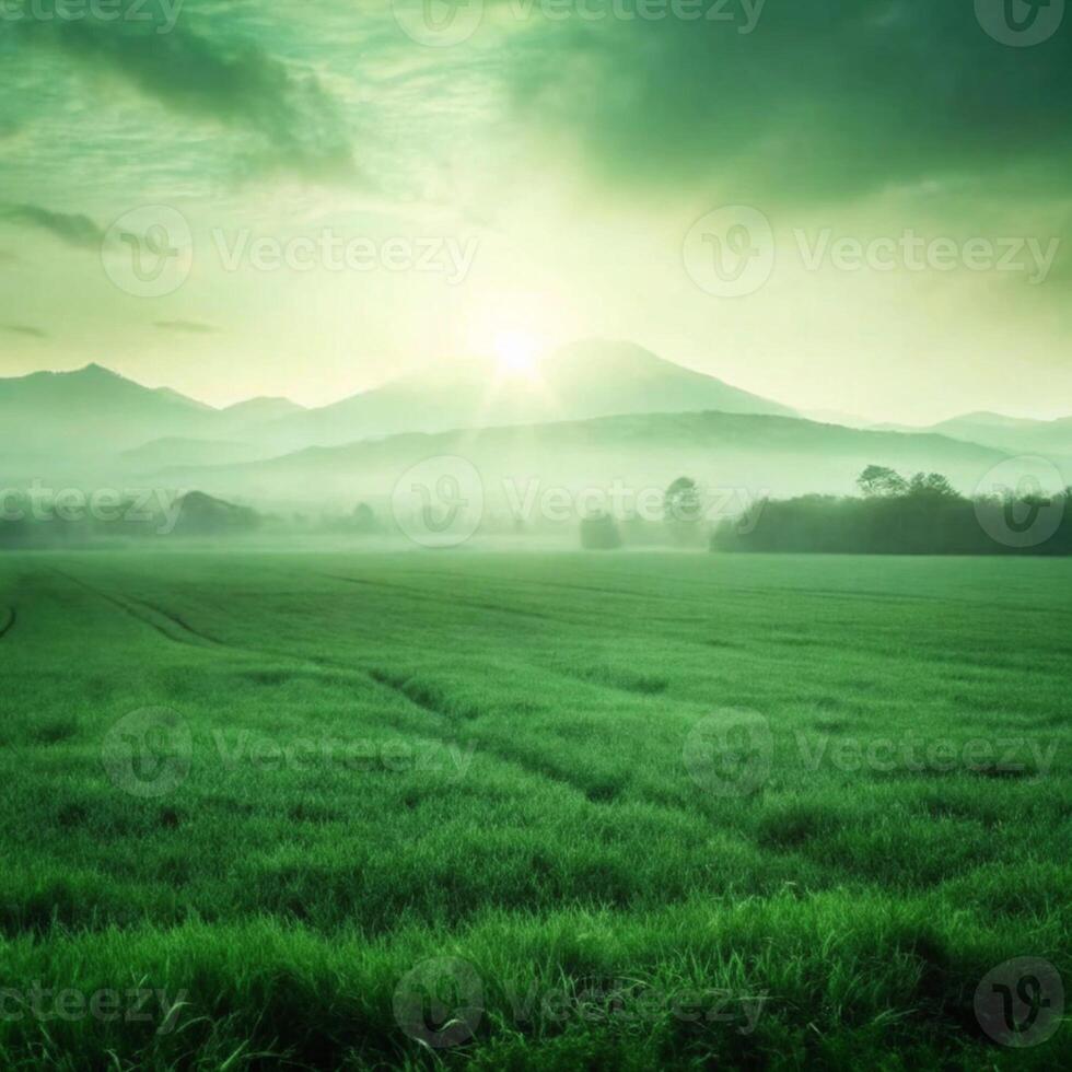 Green grass field with mountains in the background photo