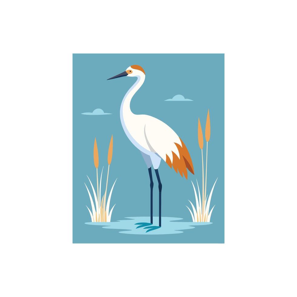 Soaring Elegance A Whooping Crane Above the Marsh vector