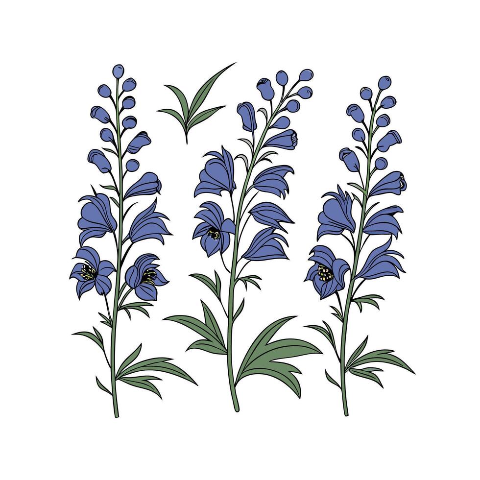 Set of a blue flowers with leaves and stems on a white background vector
