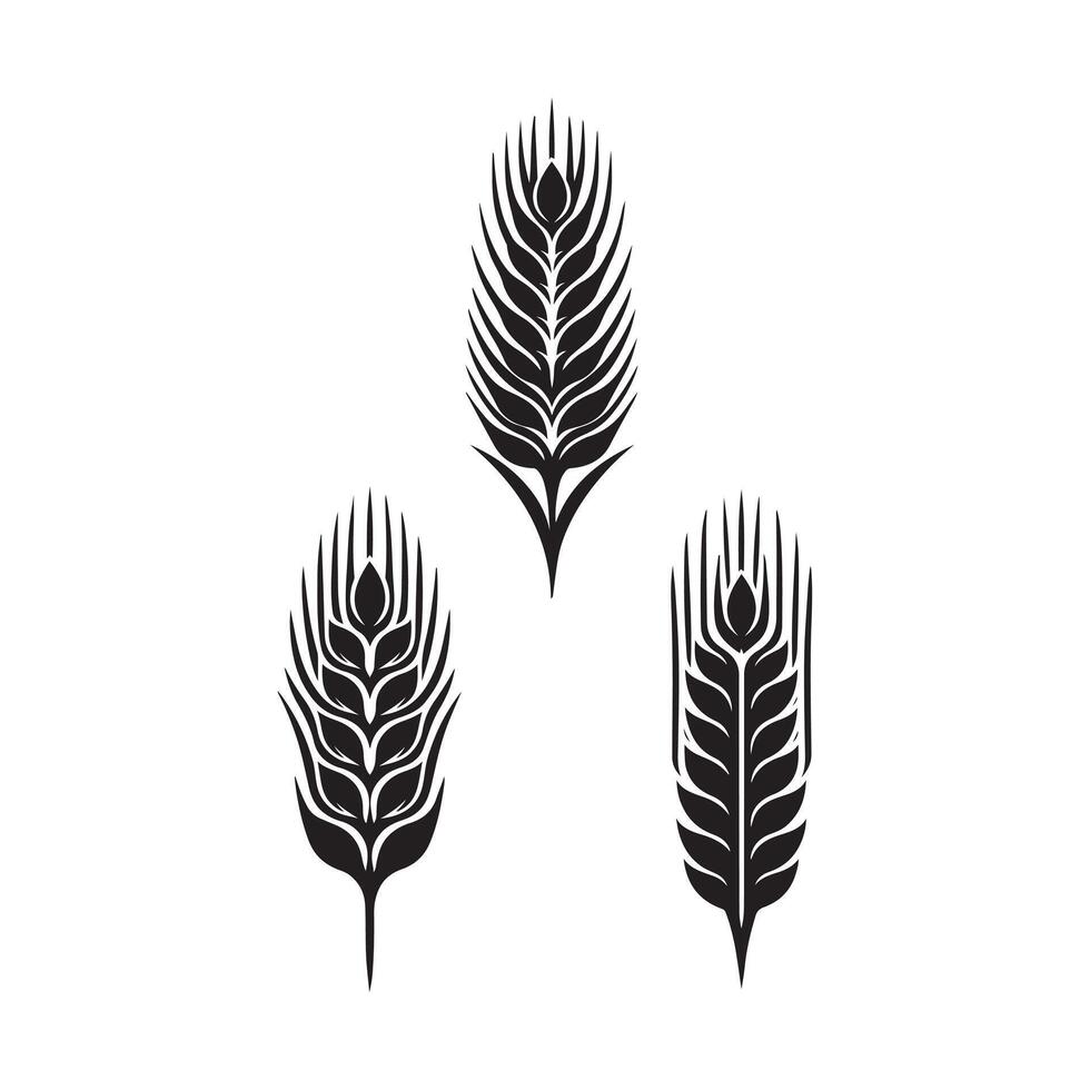 Creative three wheat ears on a white background vector