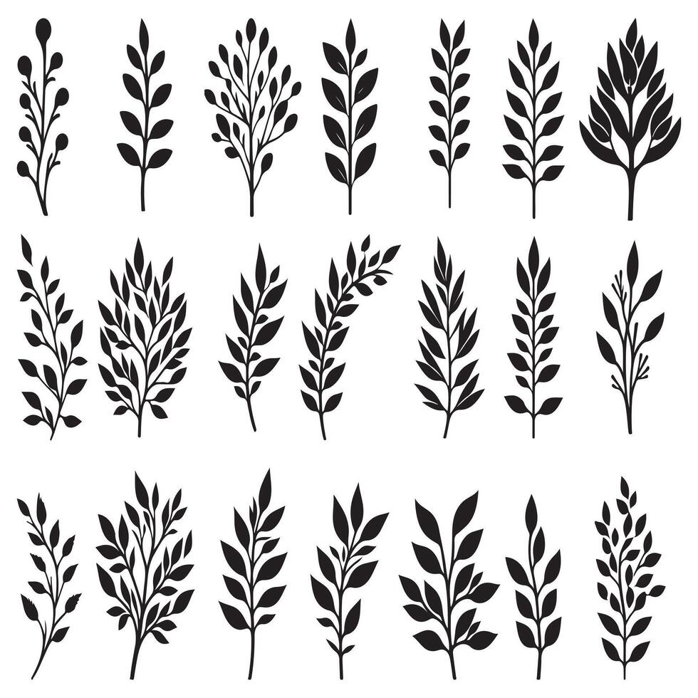 A set of black silhouettes of leaves design on a white background vector