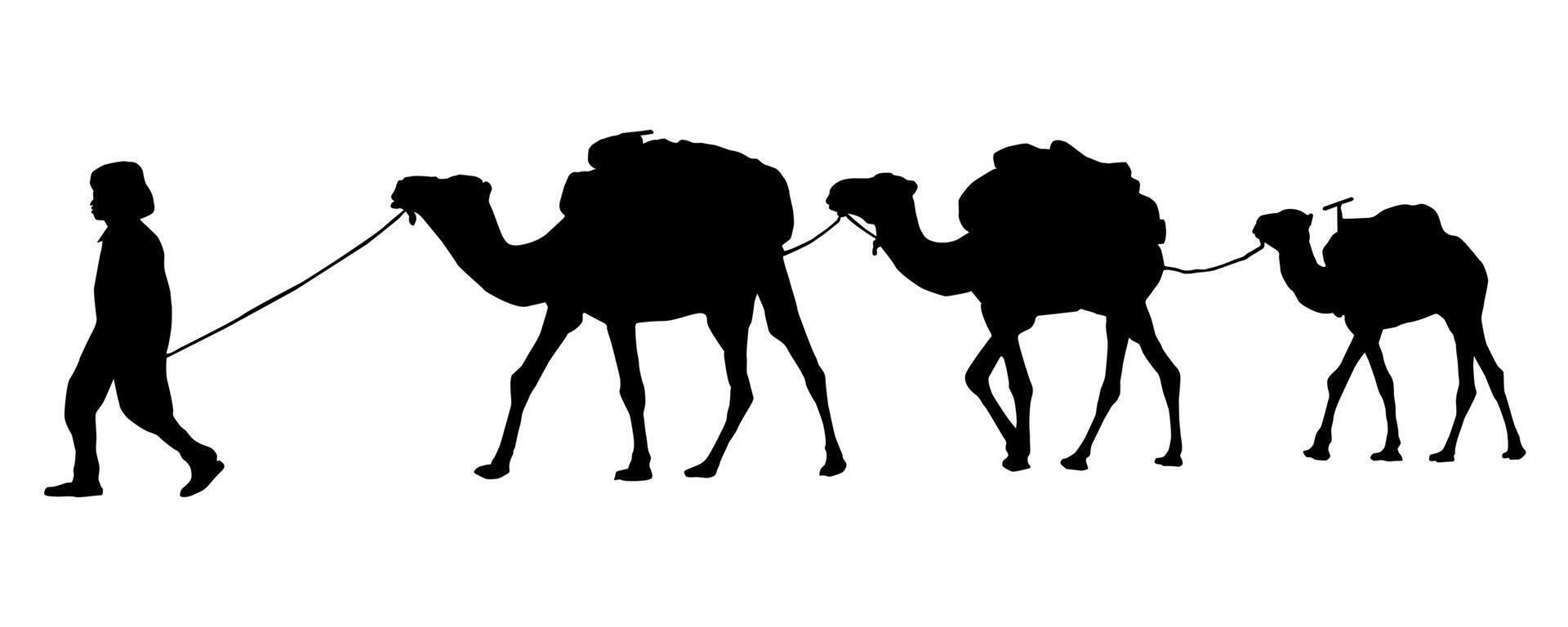 camel caravan silhouette vector