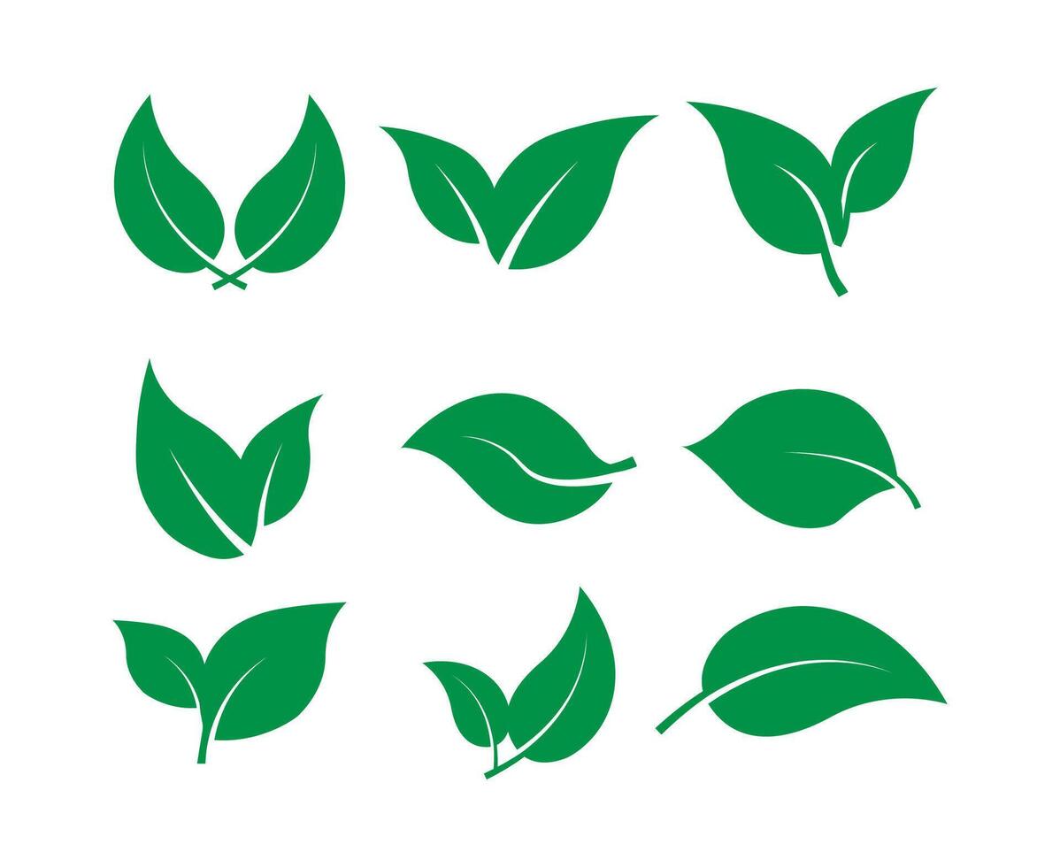 fresh modern leaf icon set vector