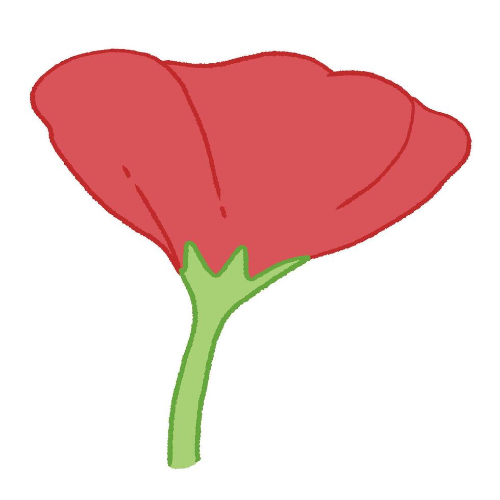 cute red poppy flower doodle hand drawn illustration vector