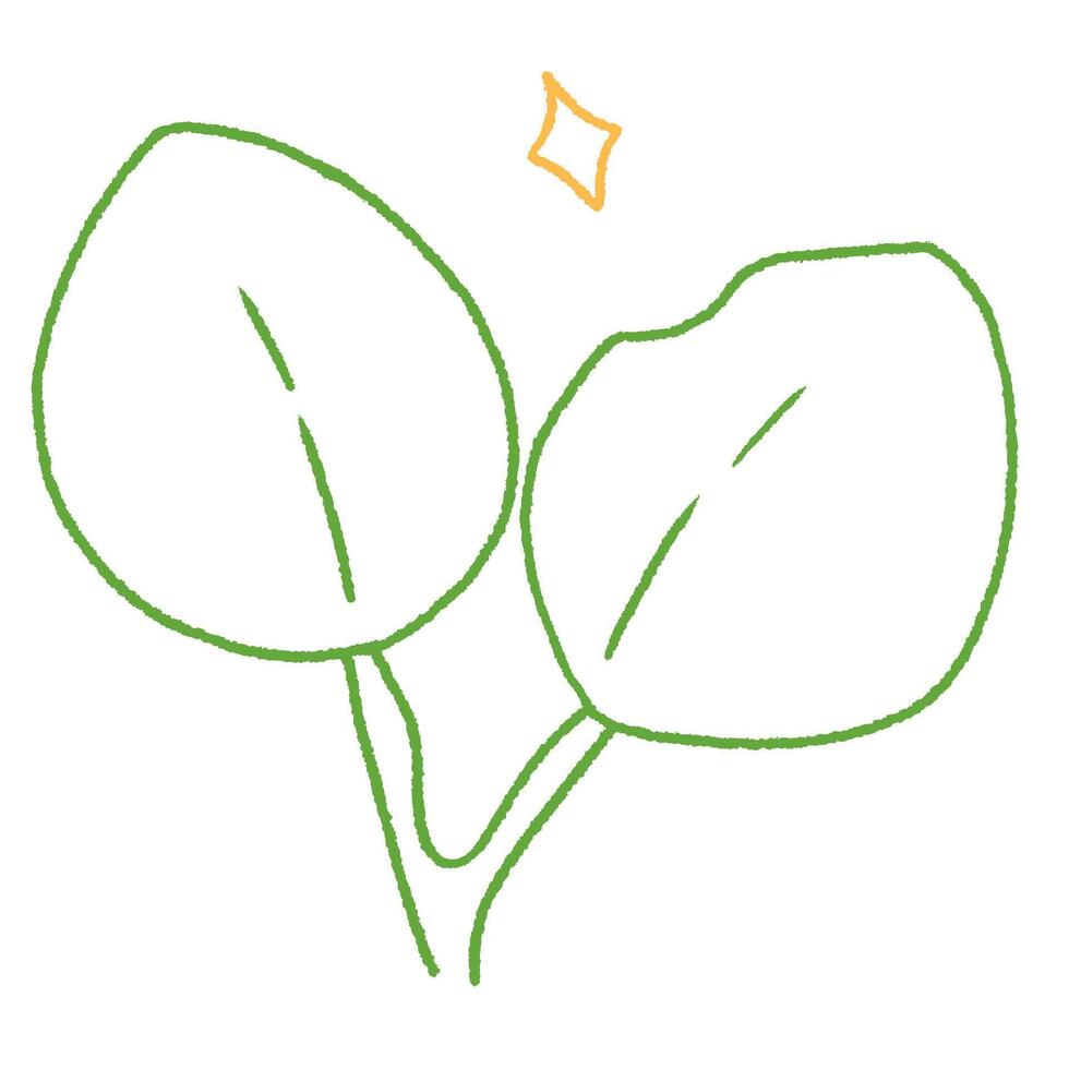 cute green round leaves doodle hand drawn line art illustration vector