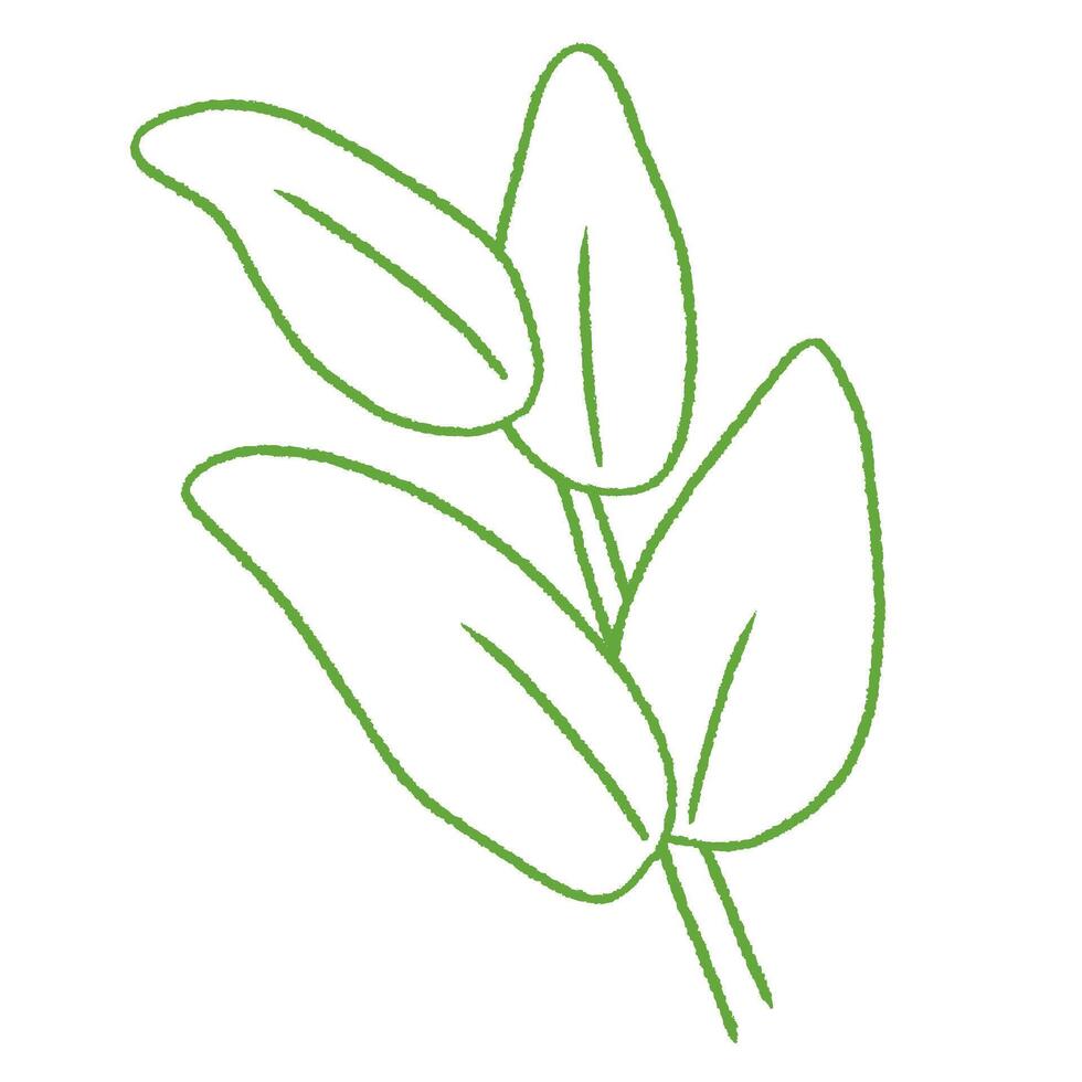 cute green leaf branch doodle hand drawn line art illustration vector