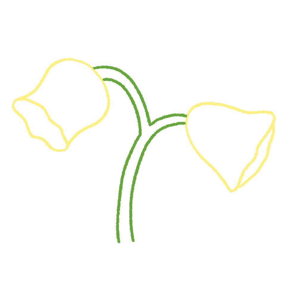 cute lily of the valley flower doodle hand drawn line art illustration vector