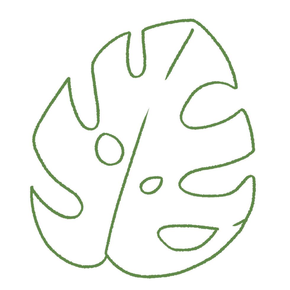 cute green monstera leaf doodle hand drawn line art illustration vector