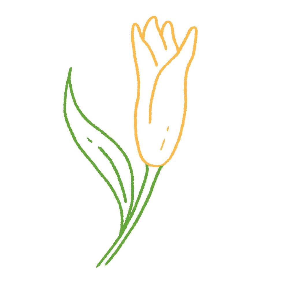 cute yellow tulip flower doodle hand drawn line art illustration vector