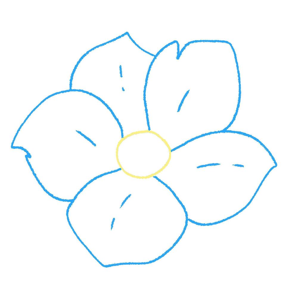 cute forget me not flower doodle hand drawn line art illustration vector