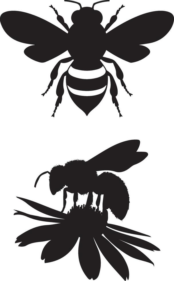 Set of Honeybee Insect Silhouettes Pollination vector